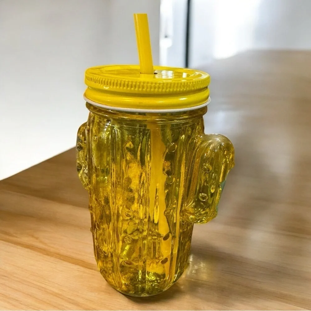 Colorful Cactus Mason Jar‎ Set